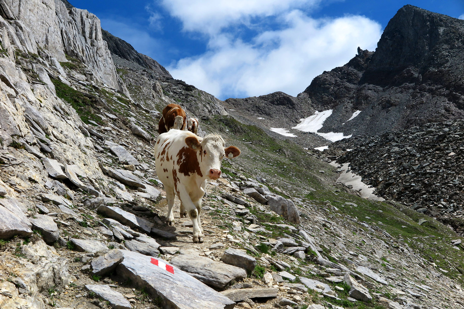 Kreuzspitze (Photo license: CC BY-NC 2.0)